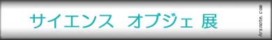 �T�C�G���X�I�u�W�F�W�̂��m�点